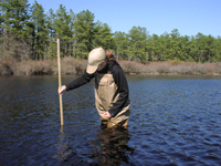 Water levels are measured in shallow observation wells installed in coastal -plain ponds